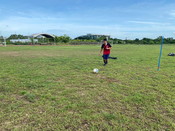 ลูกฟุตบอล Mikasa สำหรับฝึกซ้อม Mikasa Cup